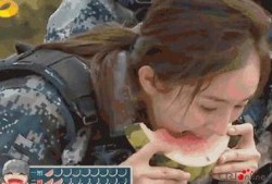 熊猫变成了吃瓜群众,从国宝到吃瓜群众的奇妙之旅