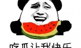 吃瓜群众的一生经历概括,吃瓜群众的一生变迁