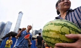 朝阳群众吃瓜导航,吃瓜导航背后的社区力量