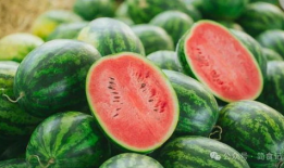 立秋吃瓜的图画