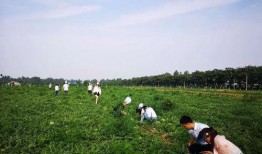 洛宁县城吃瓜群众是谁啊