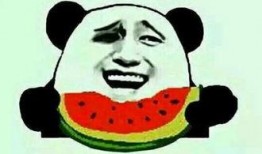 吃瓜群众啃着西瓜,吃瓜群众啃瓜乐翻天