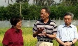 吴明珠对吃瓜群众的影响,瓜界传奇，吃瓜群众的精神领袖