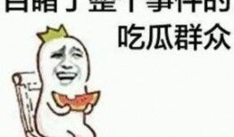 吃瓜群众郭老板,吃瓜群众的独特视角，揭秘娱乐圈幕后真相