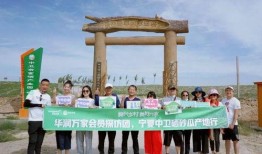 什么叫真情实感吃瓜群众,吃瓜群众视角下的娱乐圈风云