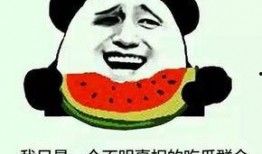 吃瓜群众会笑死么视频,场面笑翻全场