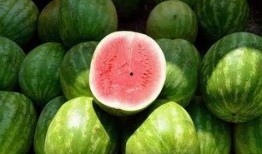 吃瓜群众里的一员是谁,探寻网络热词背后的真实故事